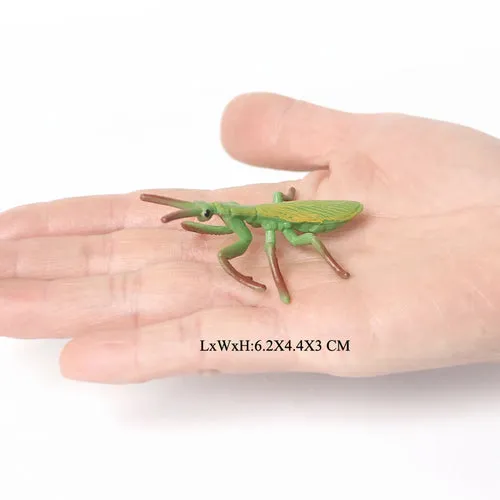 Educational Realistic Insect Figurines Set: Dung Beetle, Scorpion & More