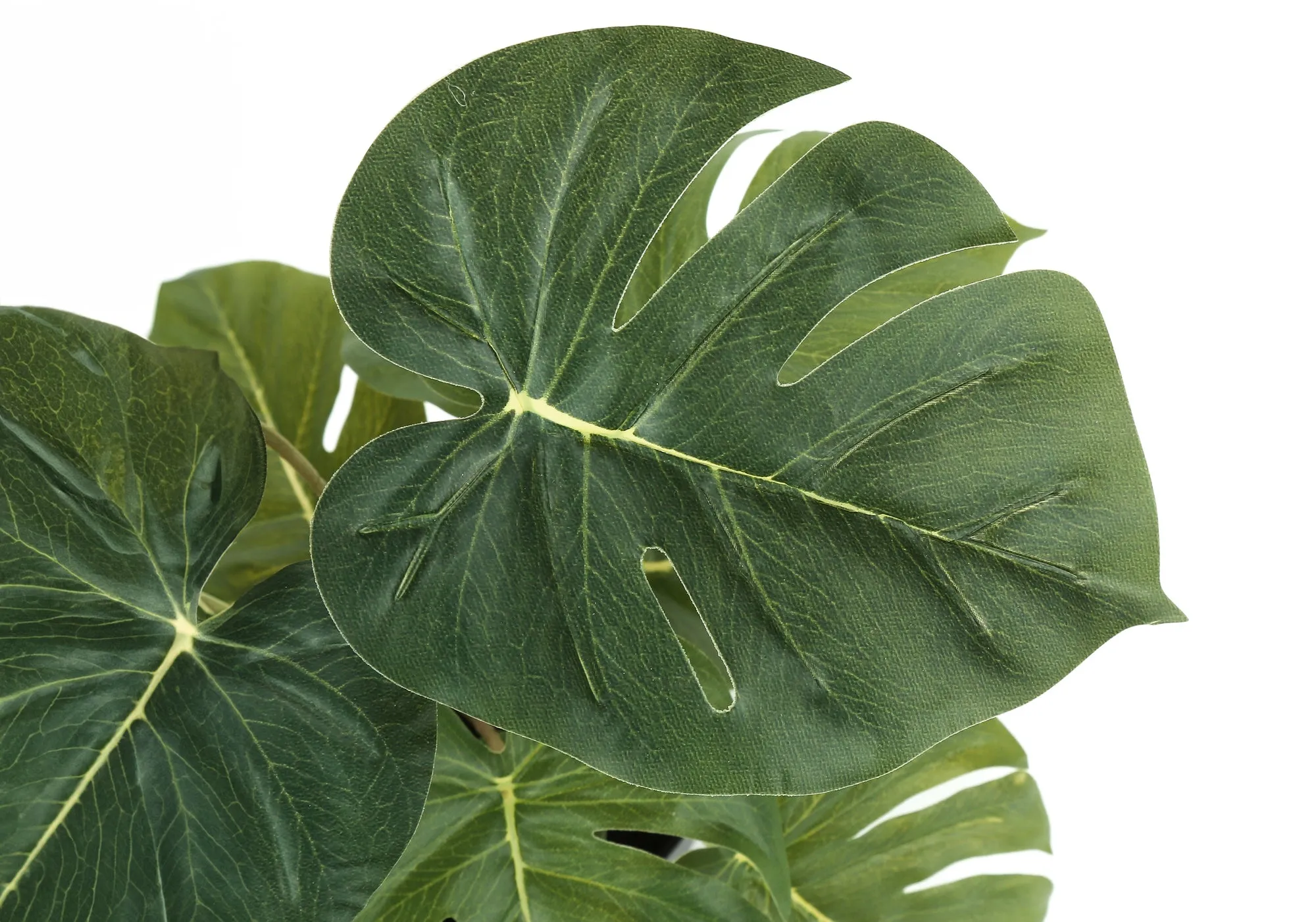Faux Monstera Calthea Plant Set - 13" Tall, Indoor Table Decor, Potted Greenery, Black Pots (2-Pack)