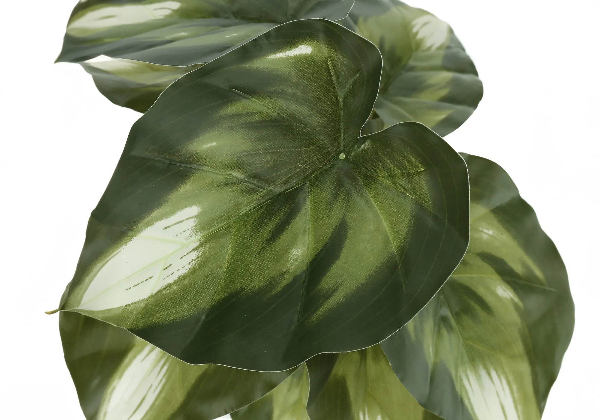 Faux Monstera Calthea Plant Set - 13" Tall, Indoor Table Decor, Potted Greenery, Black Pots (2-Pack)
