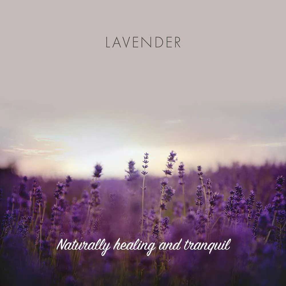 Friendly Soap - Lavender